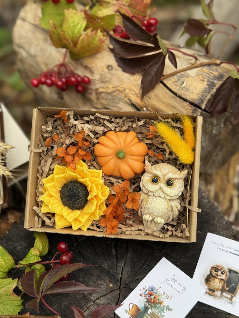Набор с Совой подсолнухом и тыквой