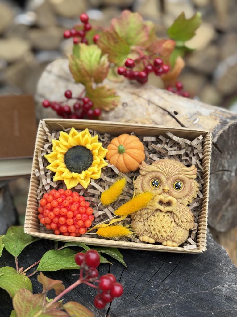 Набор Совушка с тыквой, подсолнухом и рябиной