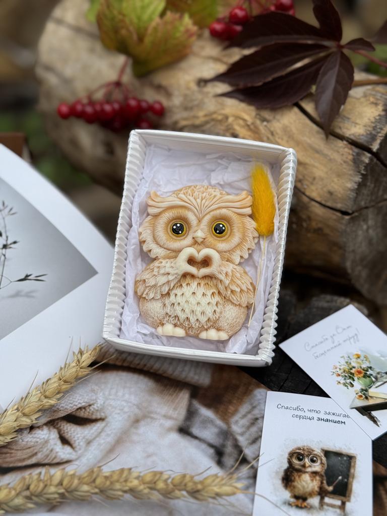 Совушка в коробочке