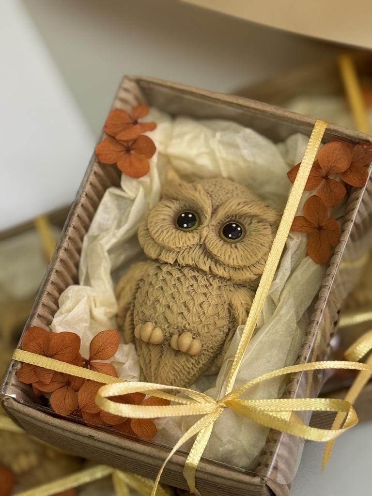 Сова в коробочке