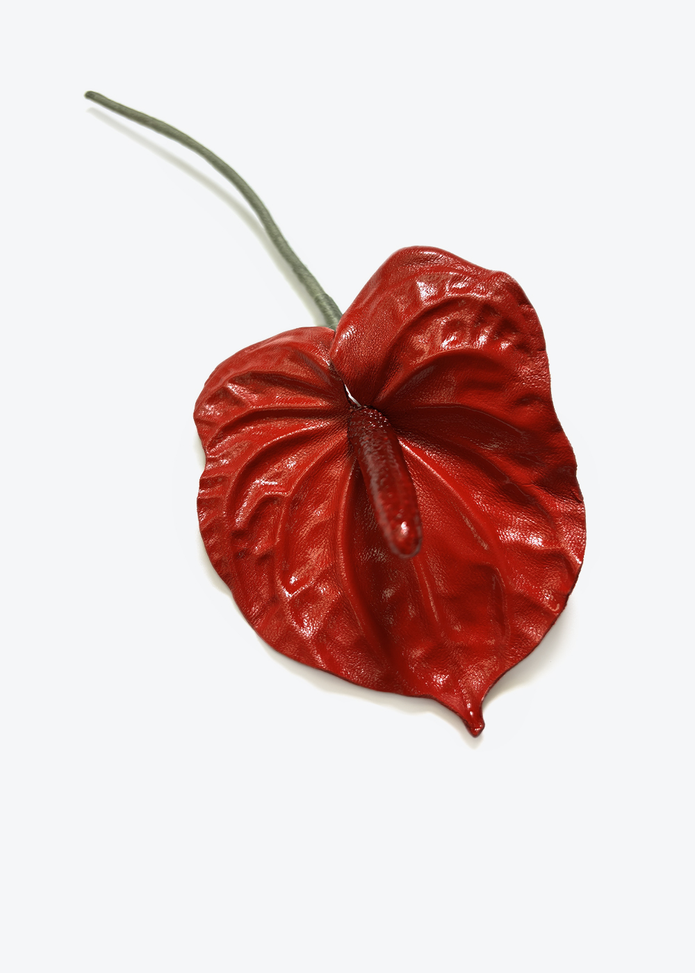 Антуриум красный