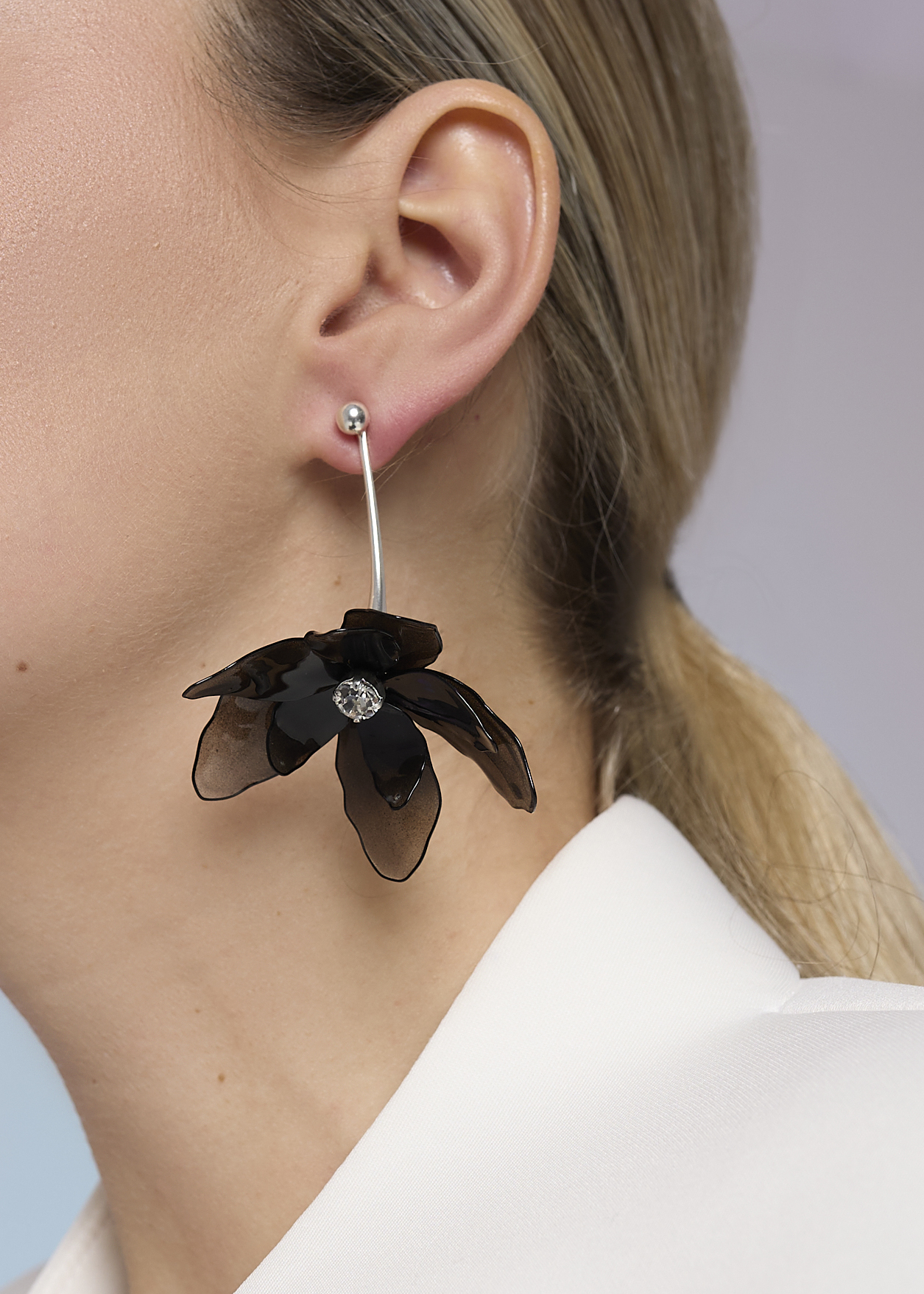 Пуссета фиалка черная