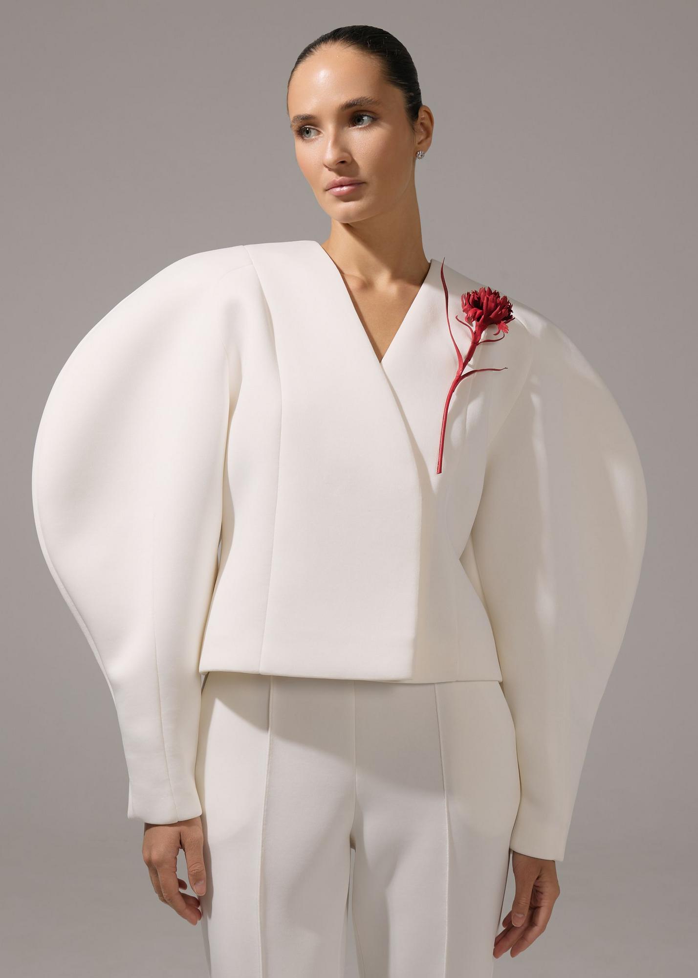 Гвоздика, красная