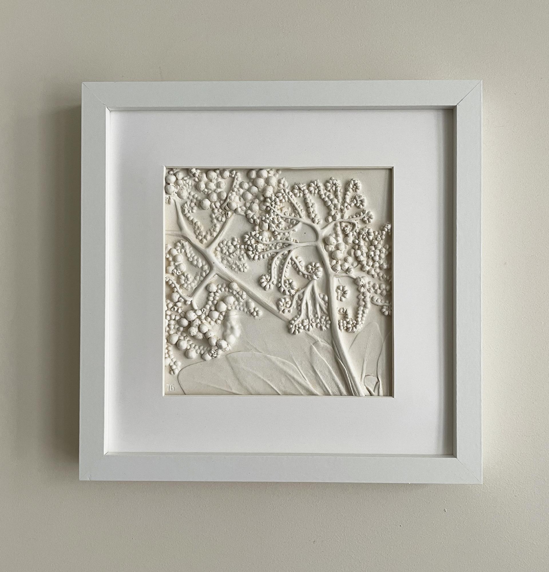 Декоративное панно "Argusia argented"