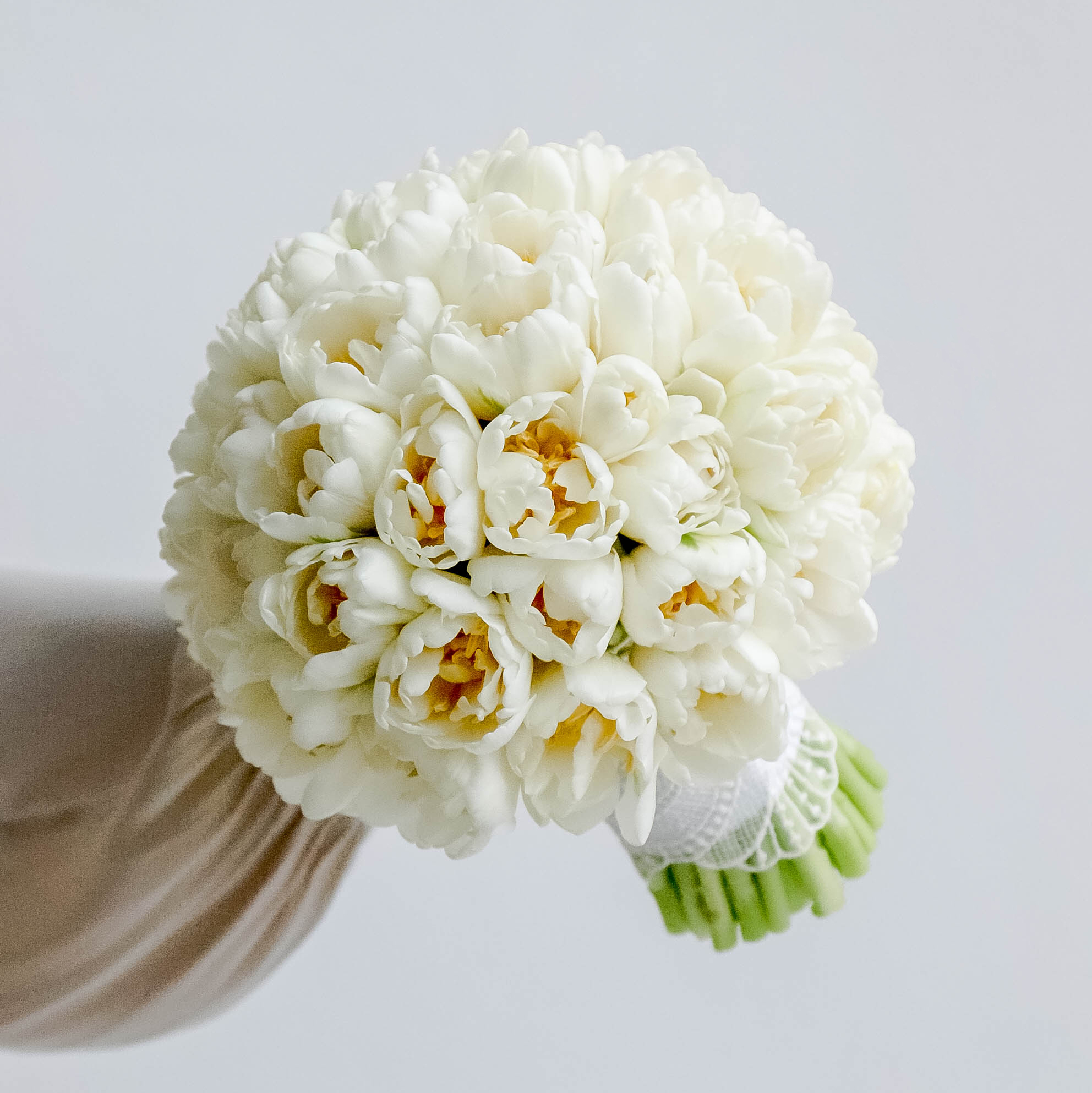 Букет из тюльпанов VANILLA CREAM