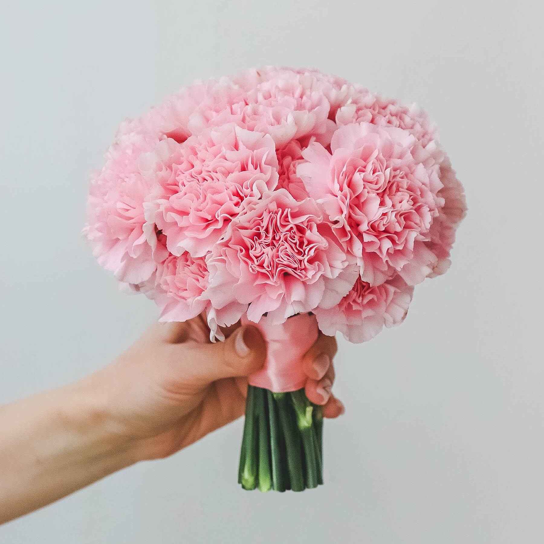 Cвадебный букет из диантуса PINK