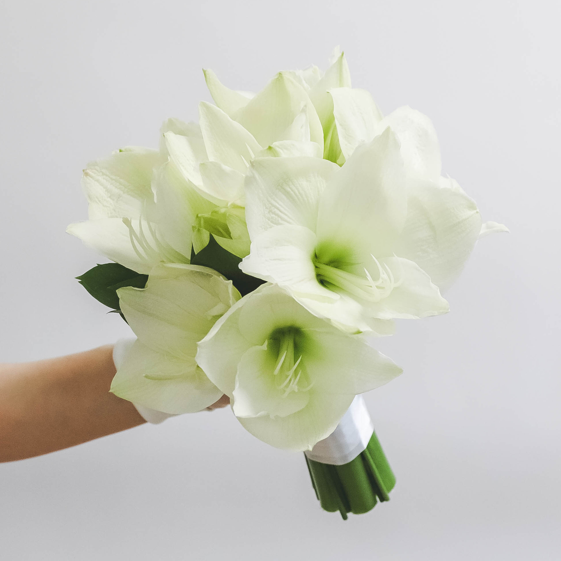Cвадебный букет из амариллисов WHITE