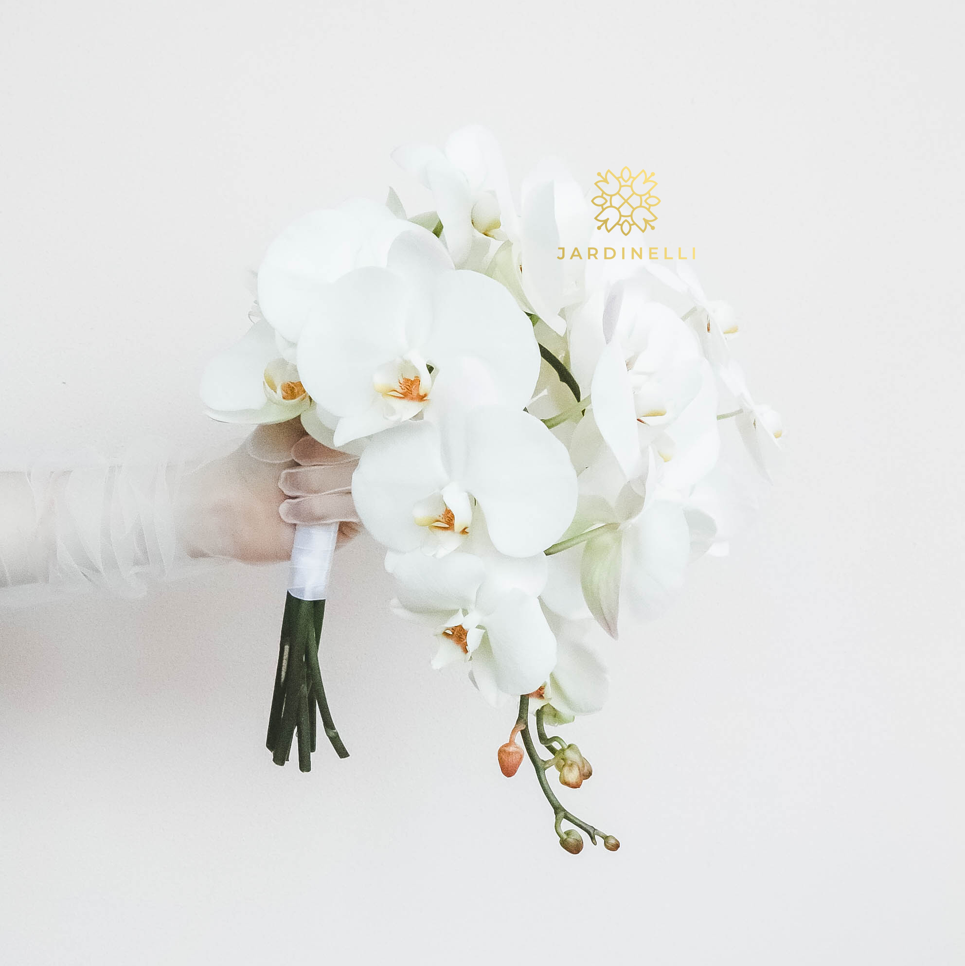 Cвадебный монобукет из орхидеи фаленопсис WHITE