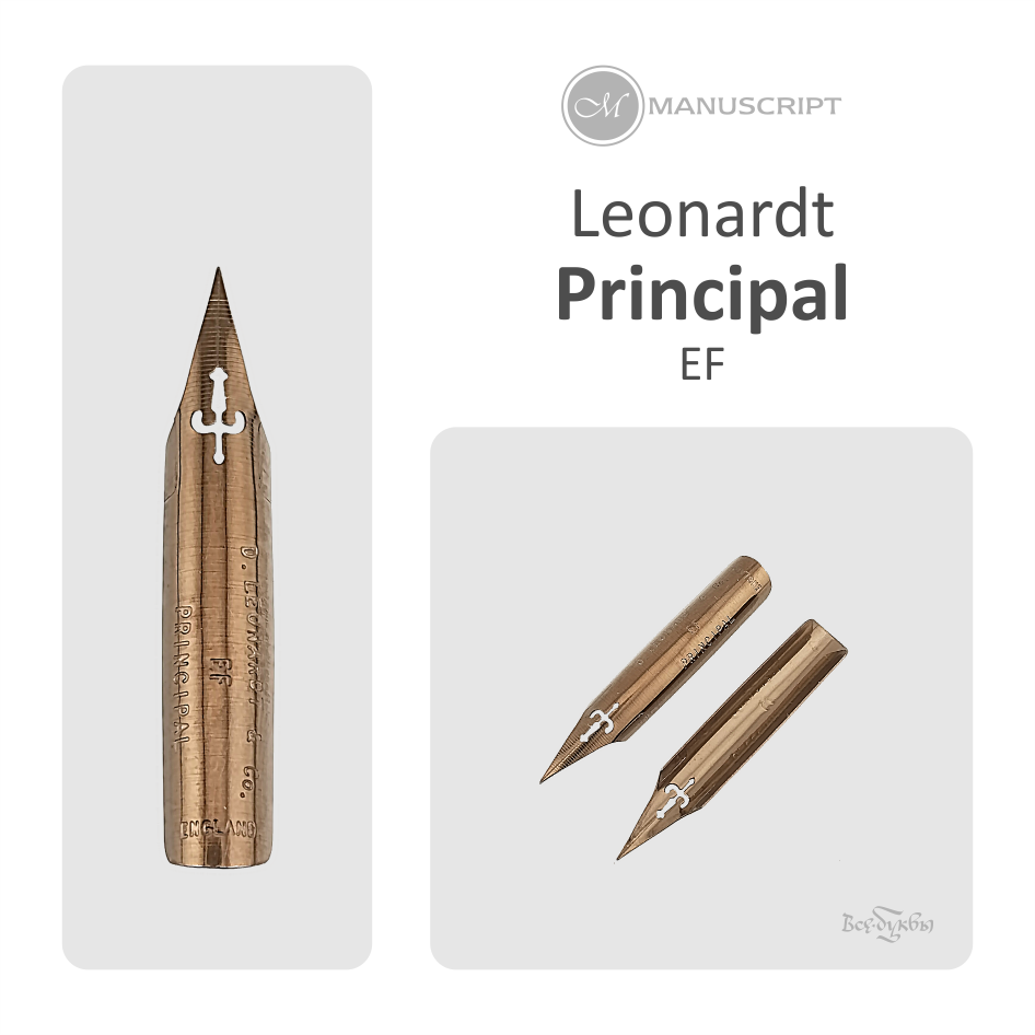 Перо EXTRA FINE PRINCIPAL / Leonardt