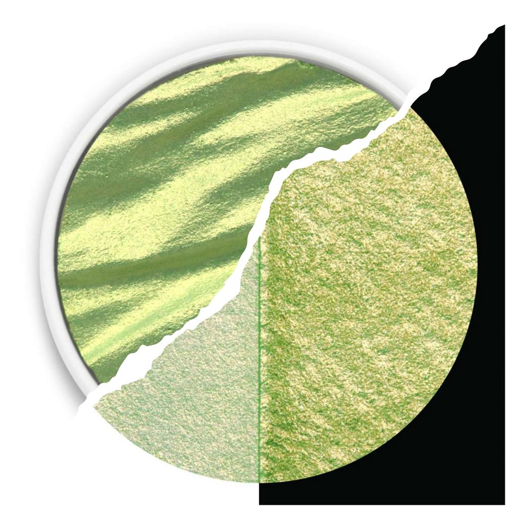 Кювета finetec / цвет "Golden Meadow"/ с075