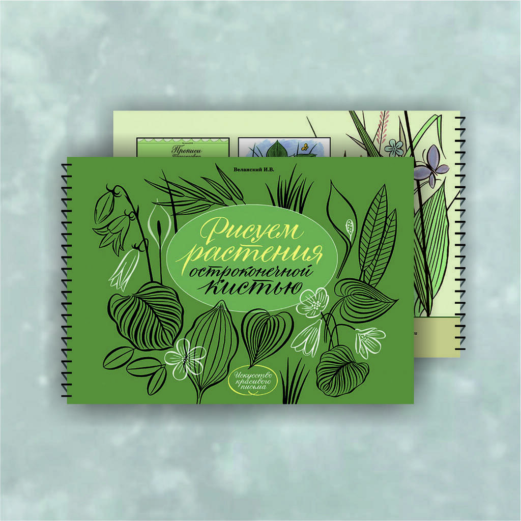 Альбом «Рисуем растения остроконечной кистью» / Веланский И.В.