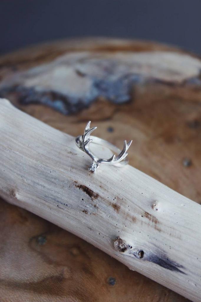 Кольцо Рога