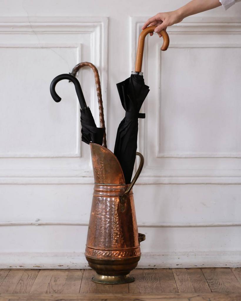 Зольник медный / зонтница