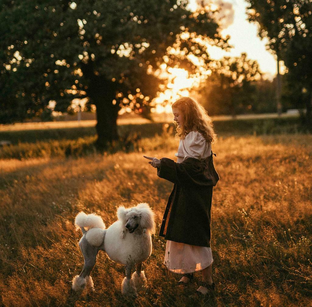 Пособие по разнообразию кадра