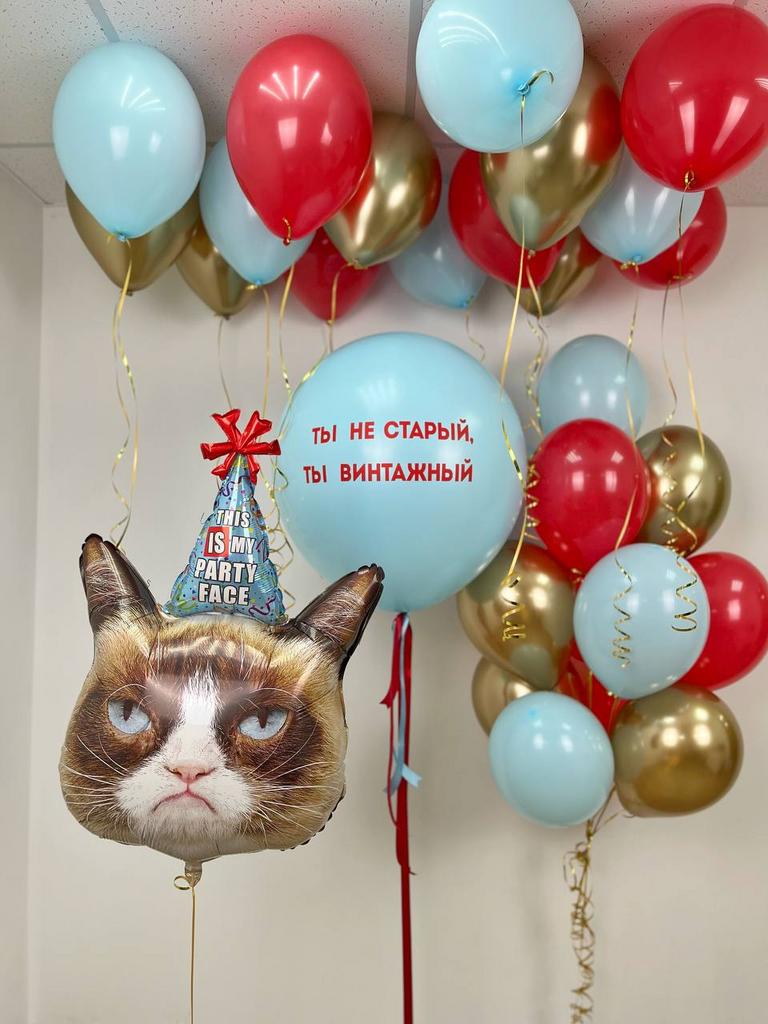 Воздушные шары "Грустный кот на ДР"