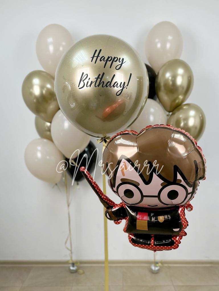 Набор «Гарри Поттер 2.0»