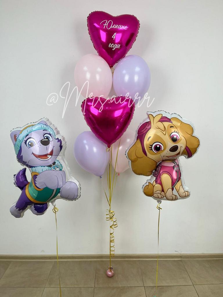 Набор «Скай и Эверест»