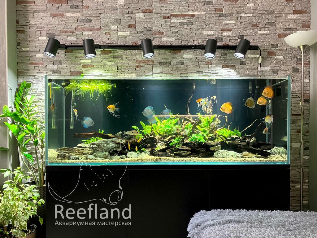 Аквариум 1600х500х600мм с тумбой на каркасе