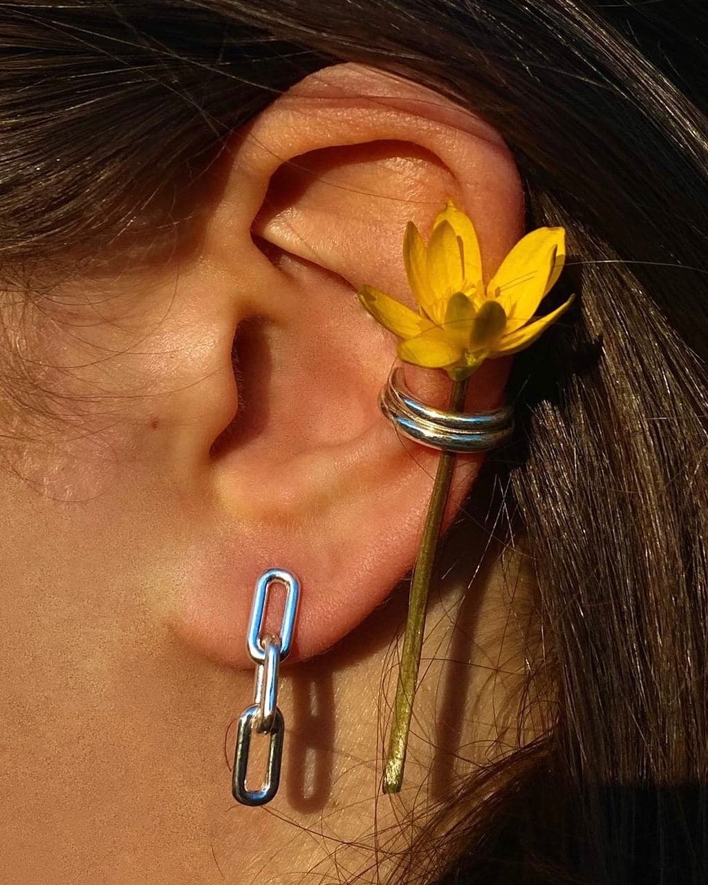 КАФФ СДВОЕННЫЙ