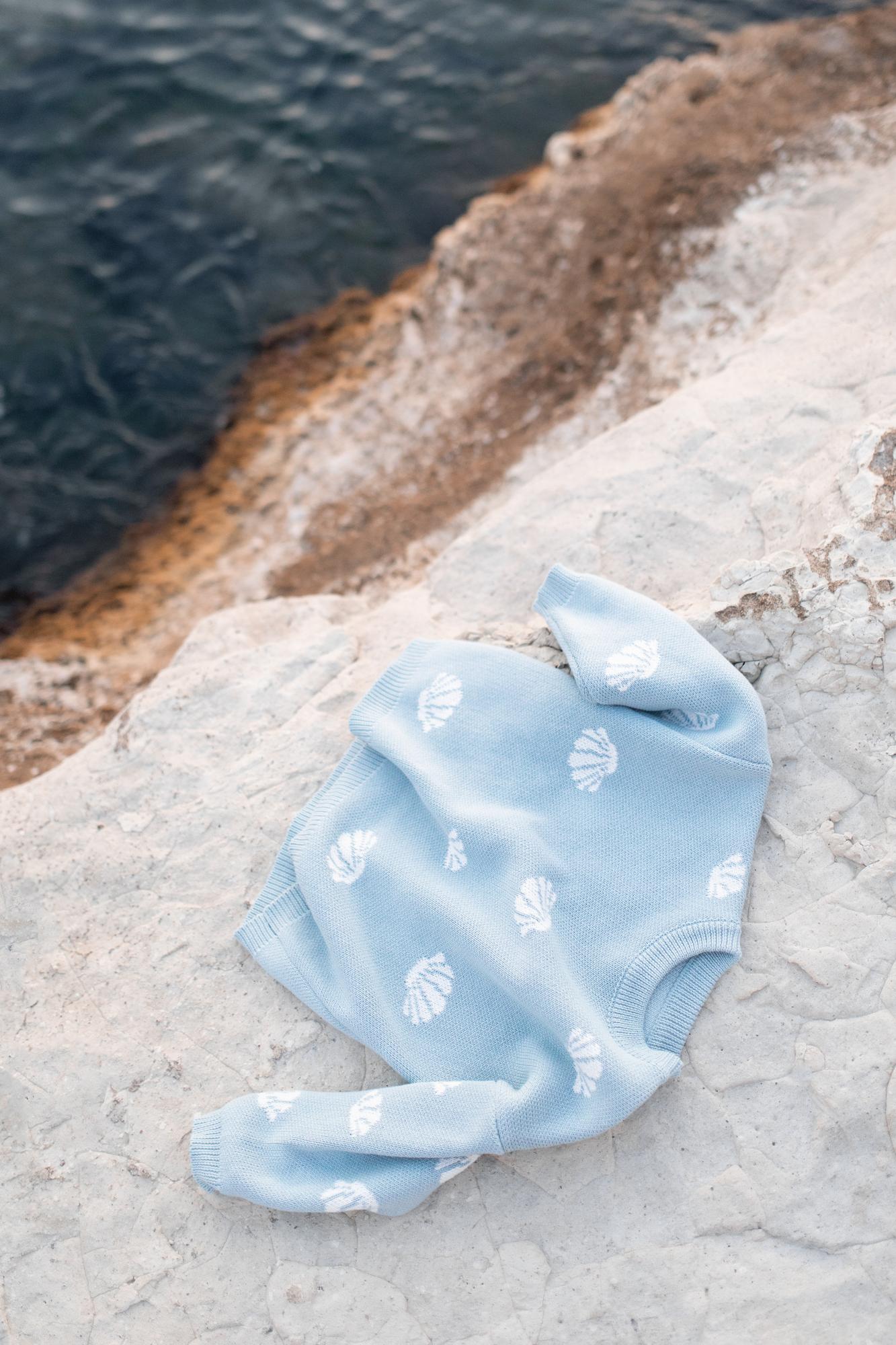 Джемпер ракушки в океане