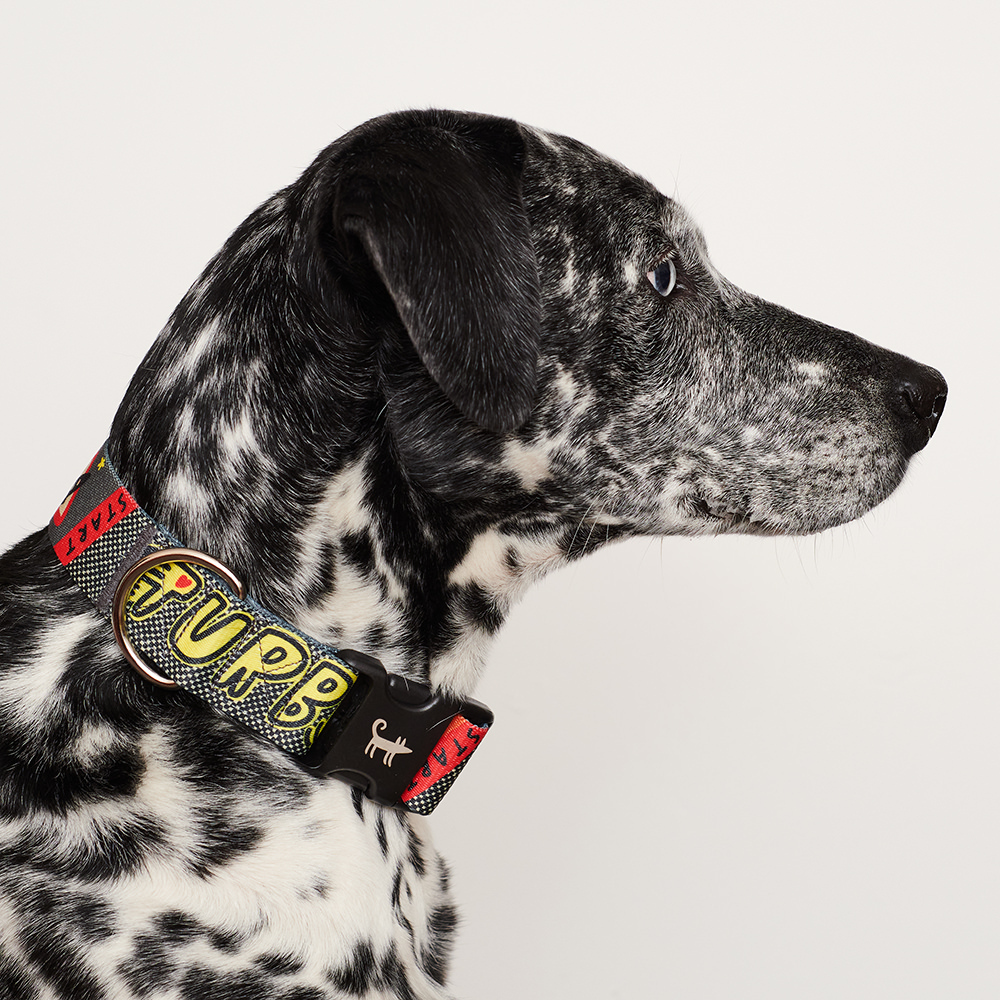 Collar TURBO DOG (wide)