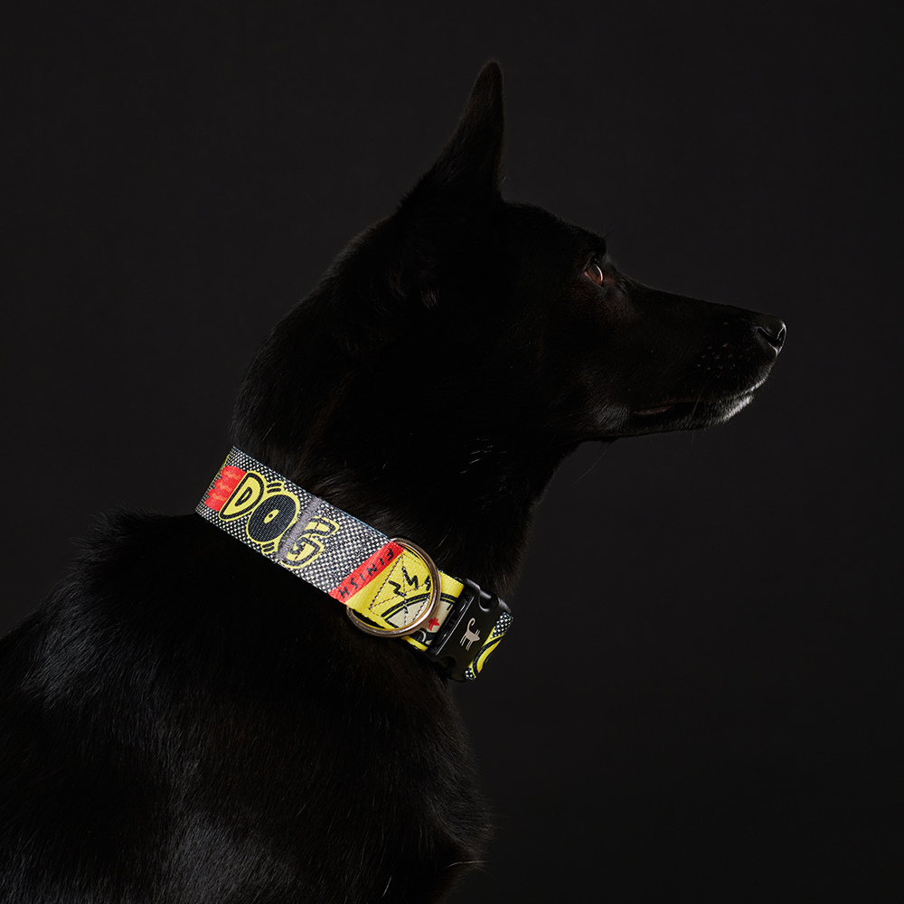 Collar TURBO DOG (wide)