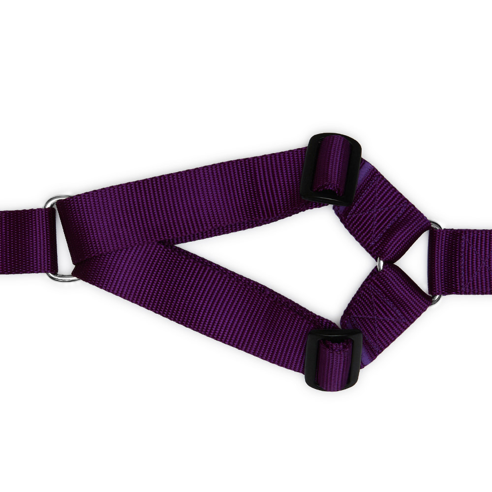 Harness PURPLE (wide)