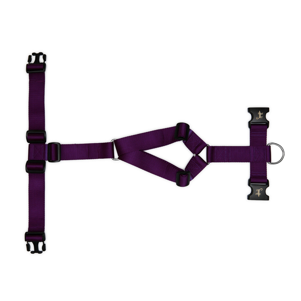 Harness PURPLE (wide)
