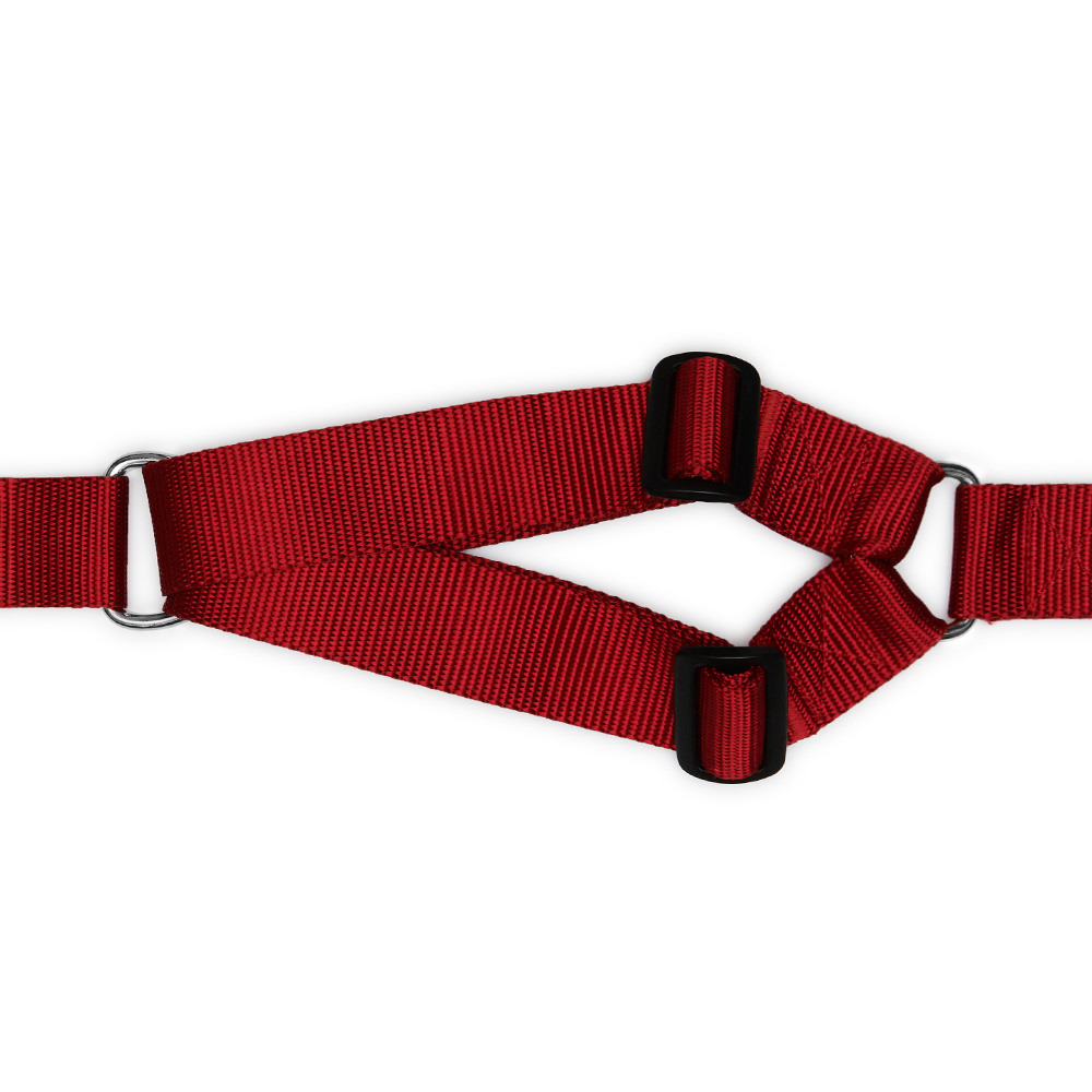 Harness RED (wide)