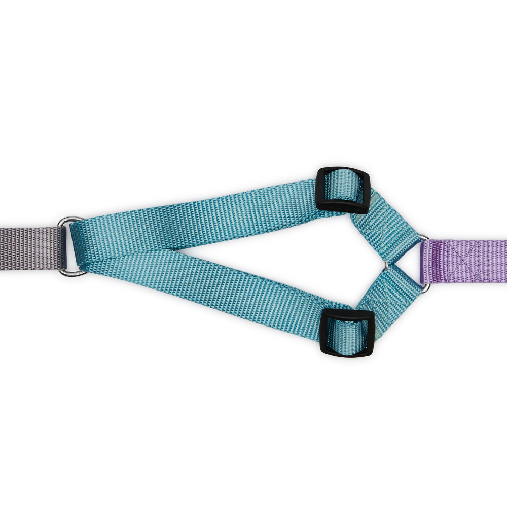 Harness LOLLIPOP