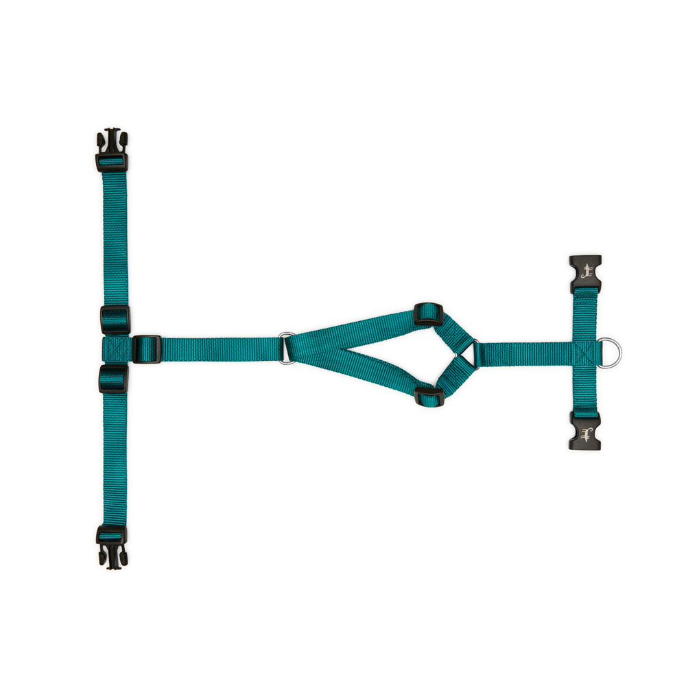 Harness EMERALD