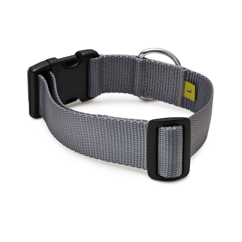 Collar SILVER (wide)