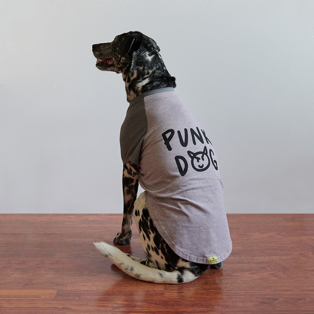 Dog t-shirt PUNK DOG