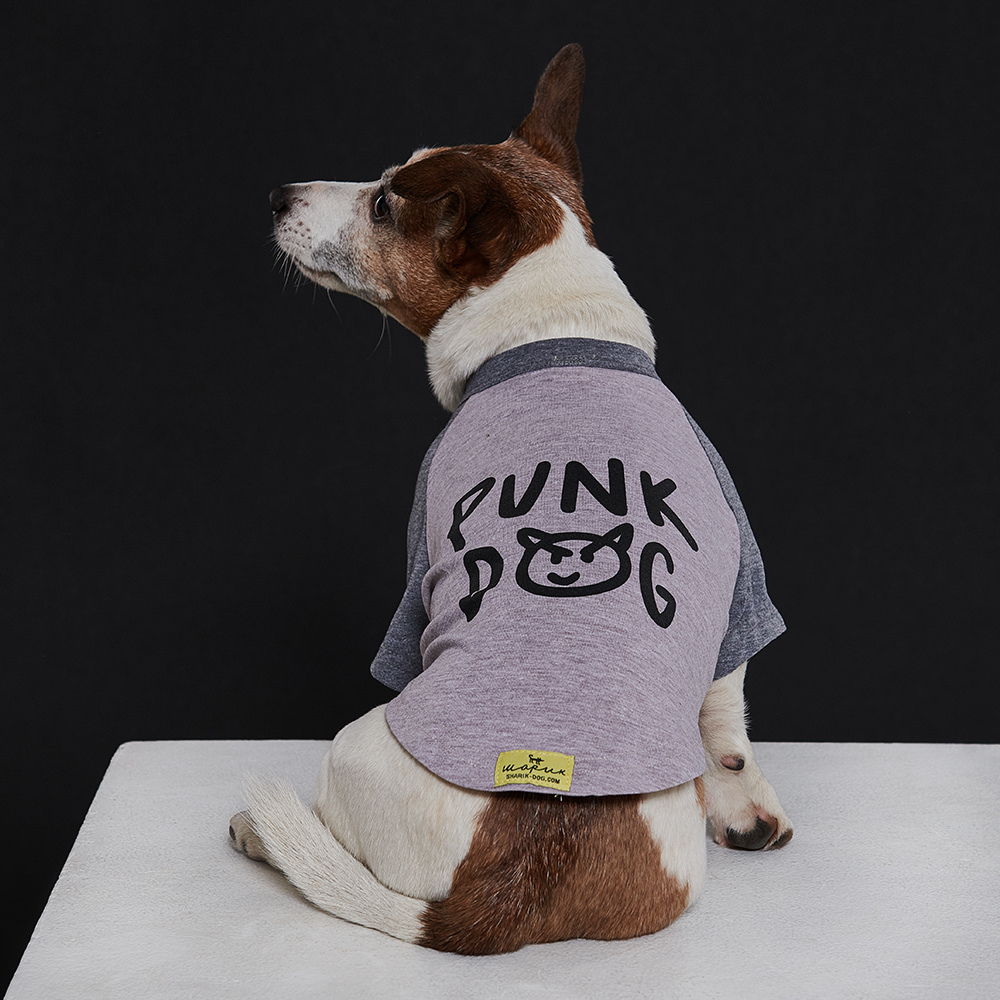Dog t-shirt PUNK DOG