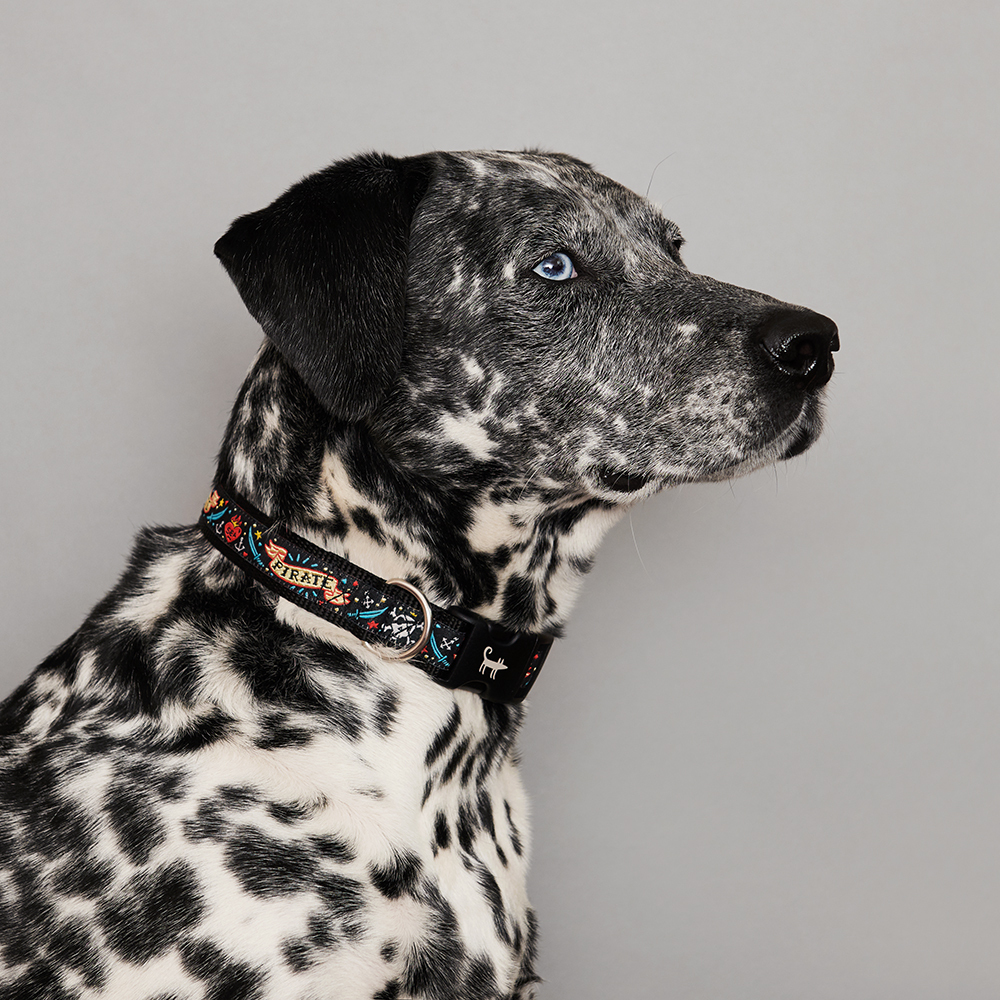 Collar PIRATE