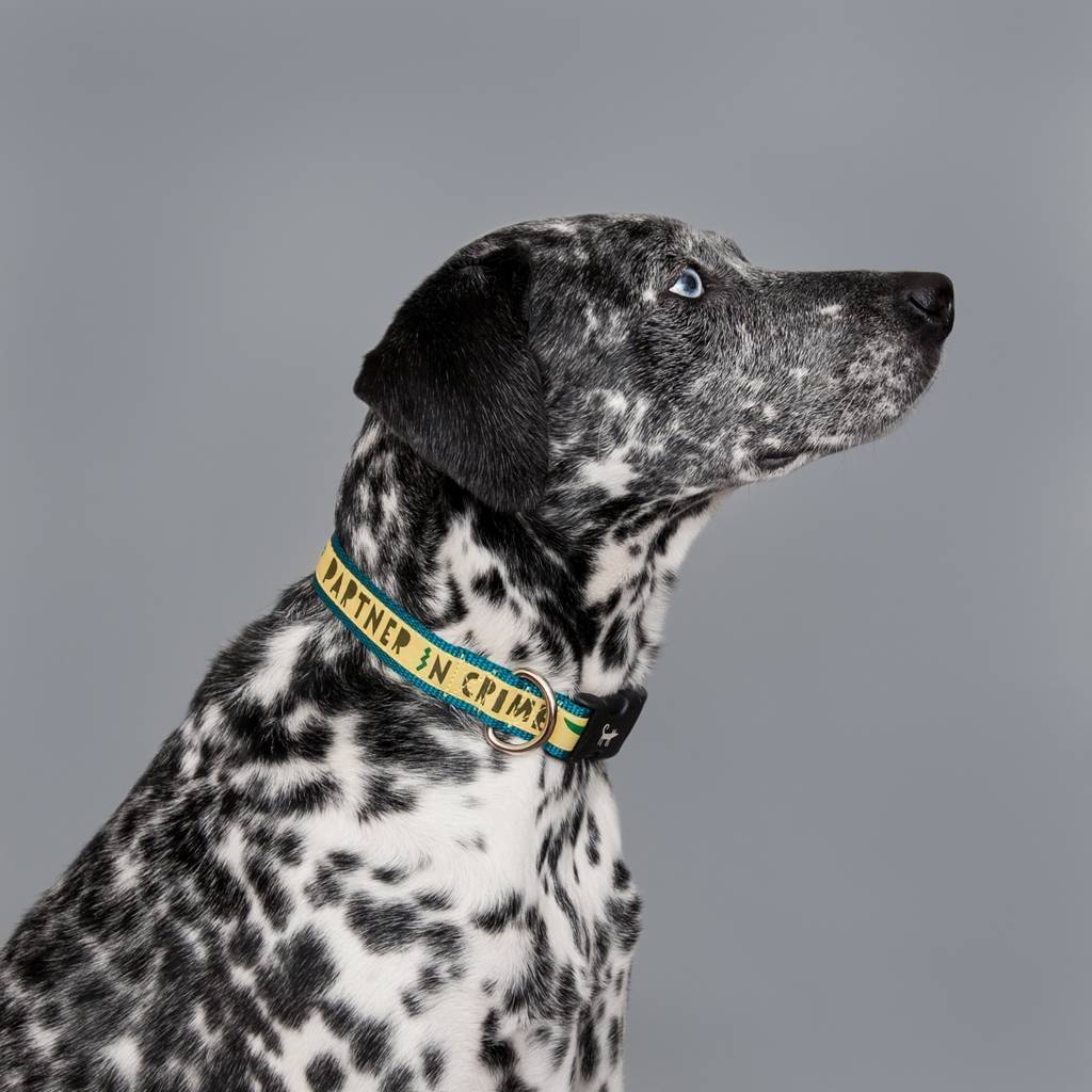 Collar PARTNER IN CRIME