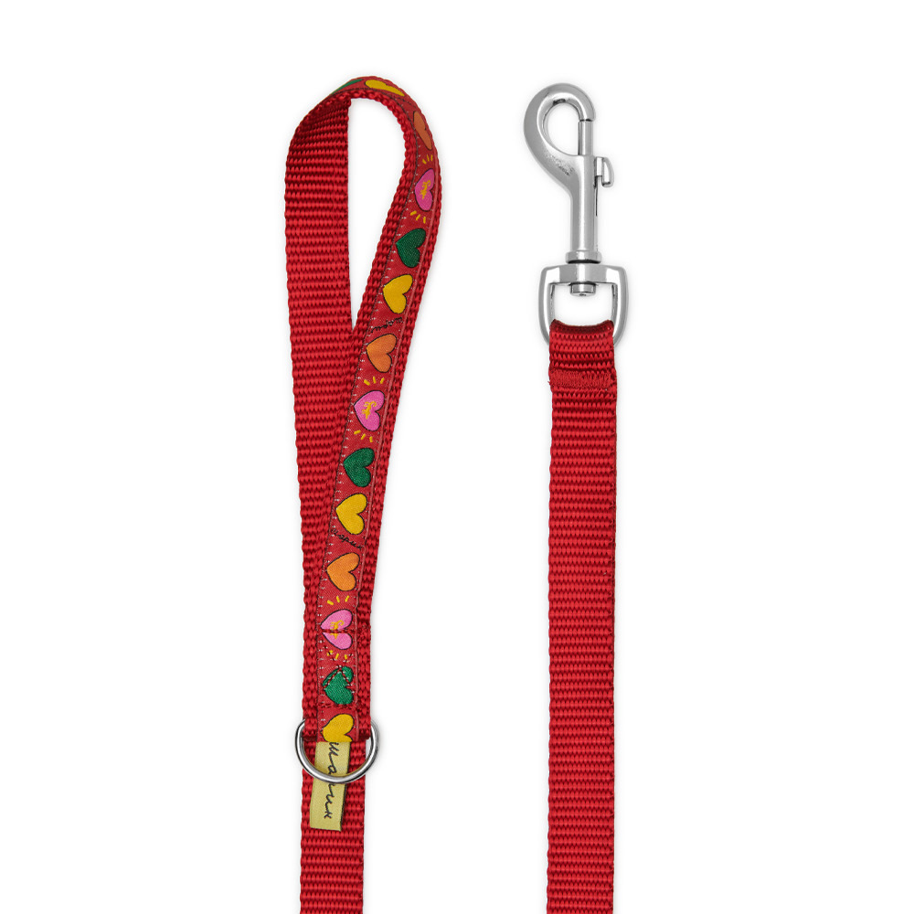 Leash ALL YOU NEED IS LOVE (2.5 / 5 m)