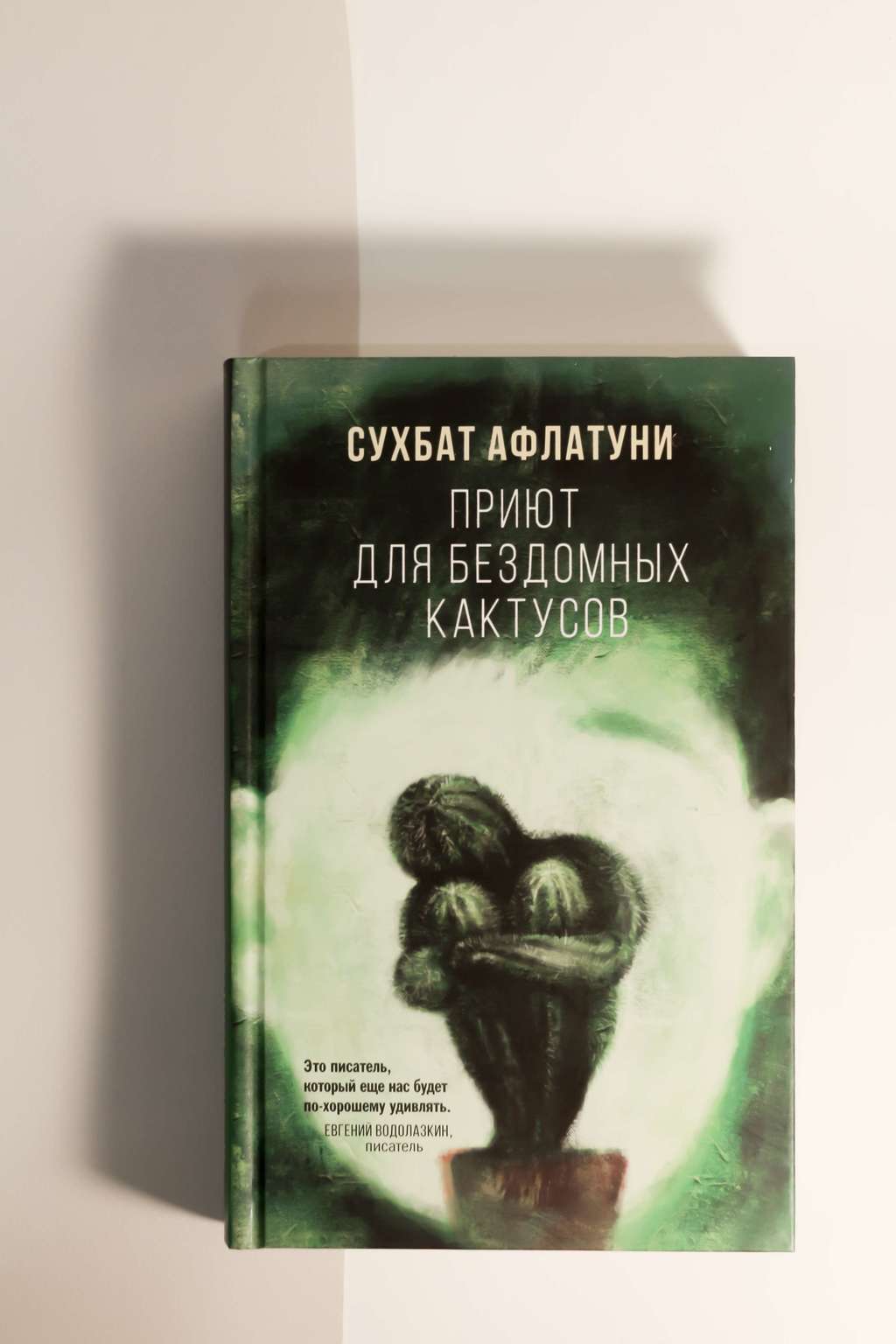 Сухбат Афлатуни. Приют для бездомных кактусов