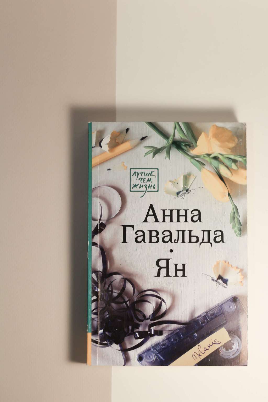 Анна Гавальда. Ян