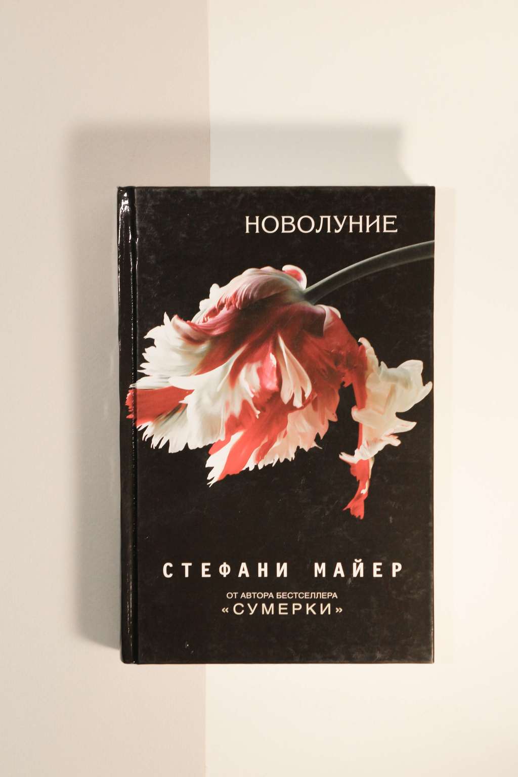 Стефани Майер. Новолуние