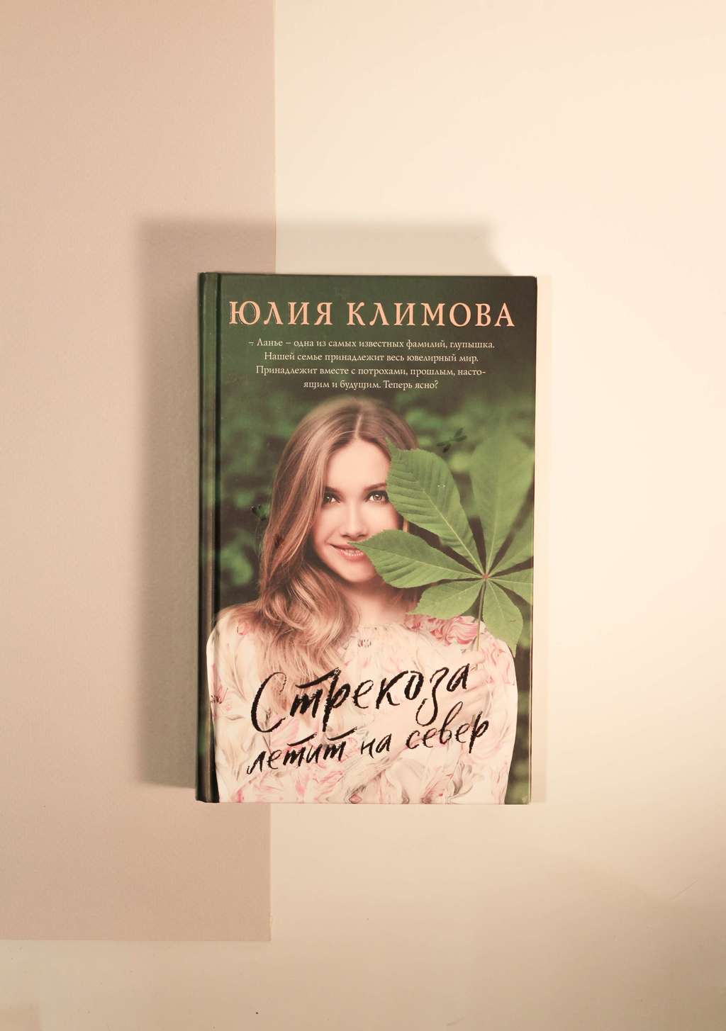 Юлия Климова. Стрекоза летит на север