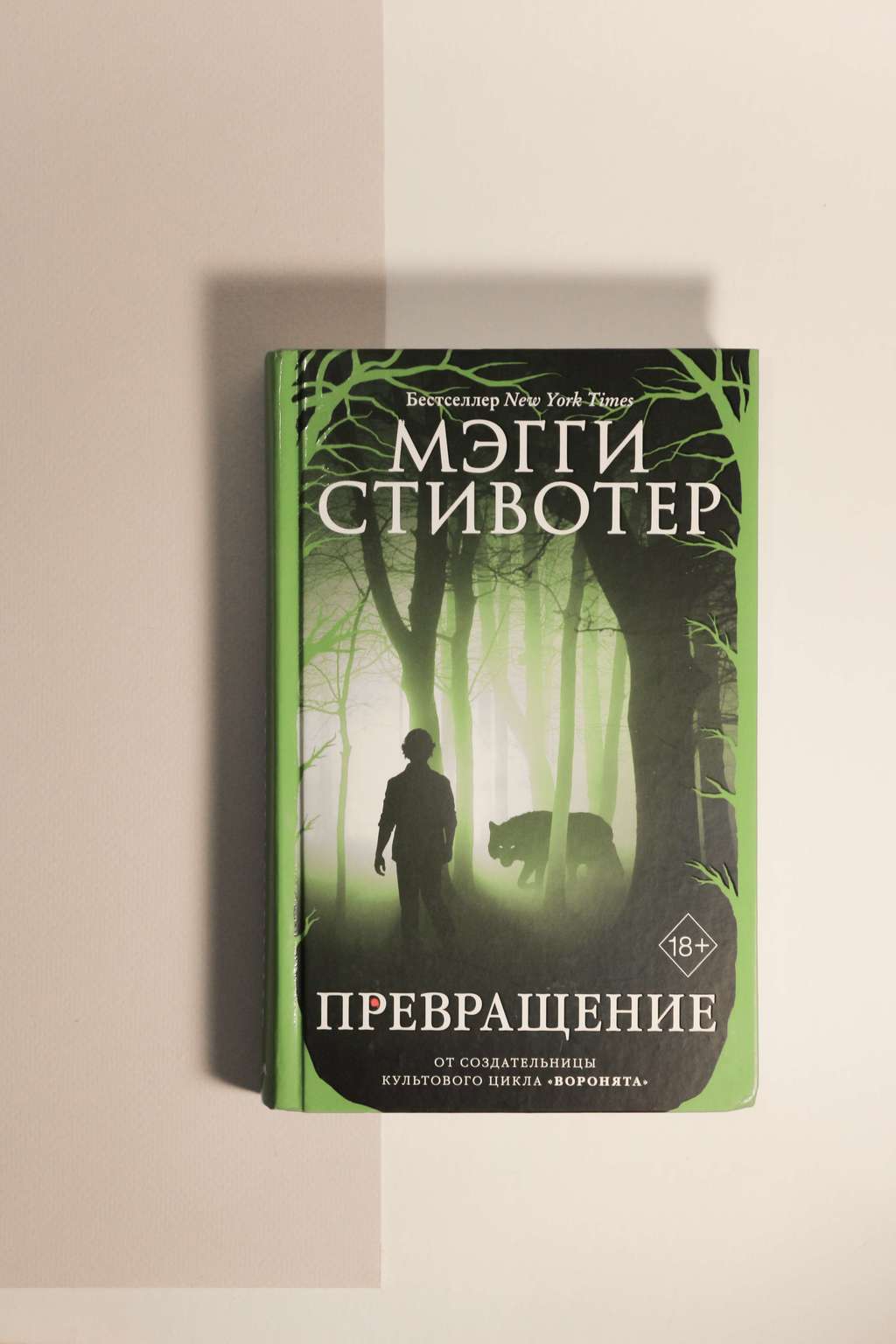 Мэгги Стивотер. Превращение