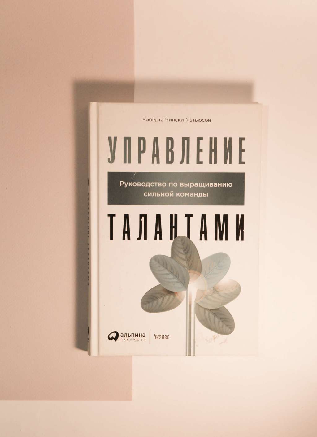 Роберта Чински Мэтьюсон. Управление талантами