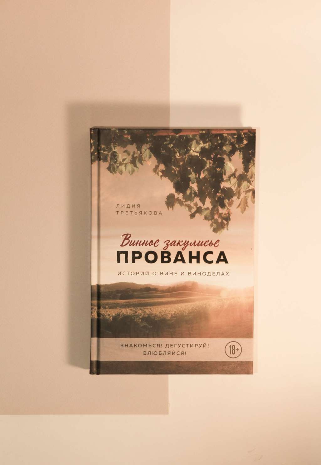 Лидия Третьякова. Винное закулисье Прованса