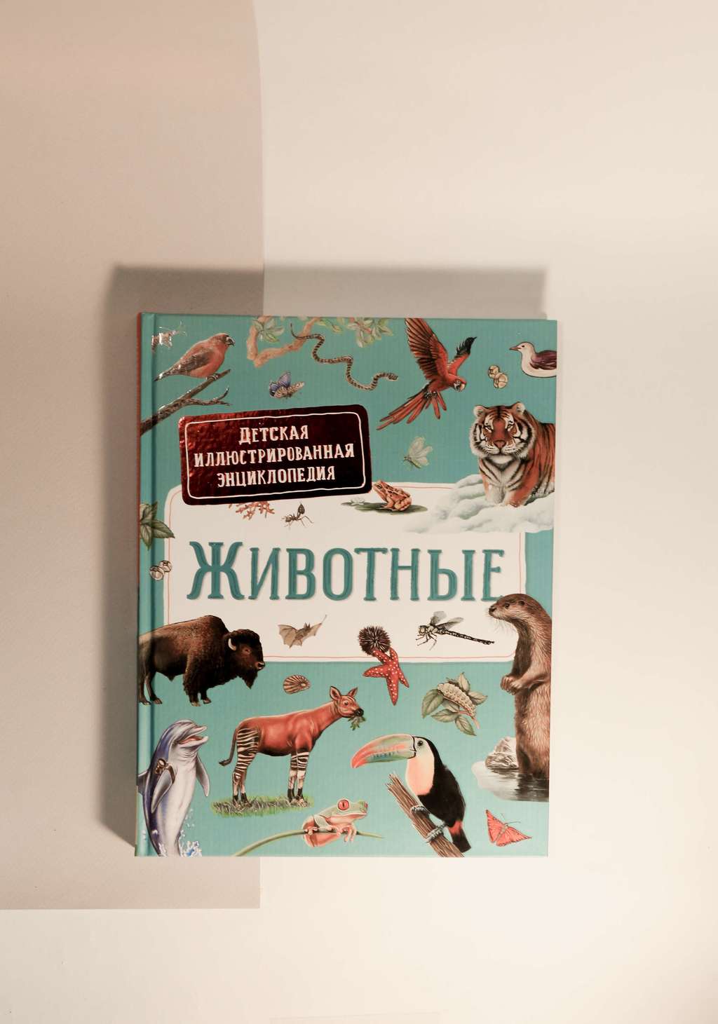 Детская иллюстрированная энциклопедия. Животные