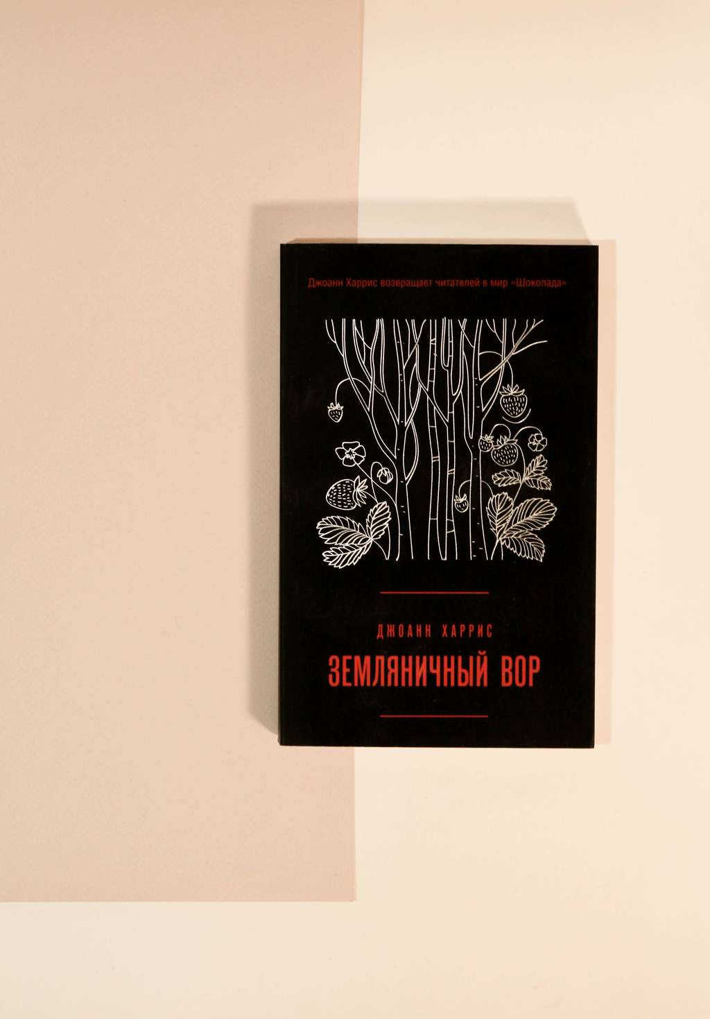 Джоанн Харрис. Земляничный вор