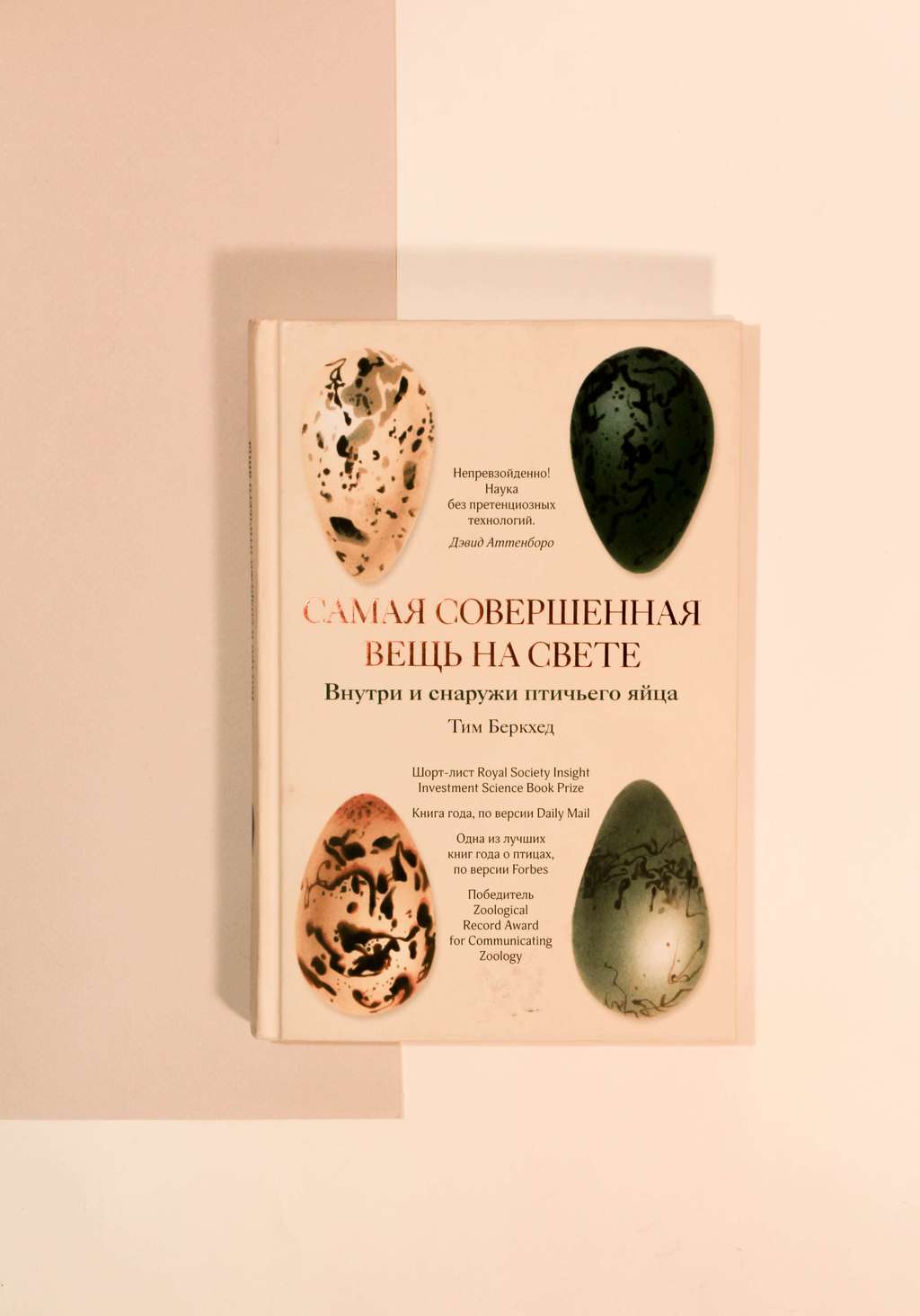 Тим Беркхед. Самая совершенная вещь на свете. Внутри и снаружи птичьего яйца