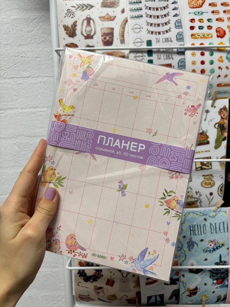 Это важно. Планер А5 "Птицы"