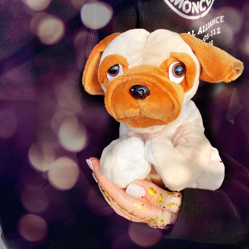 Мопс Альберто