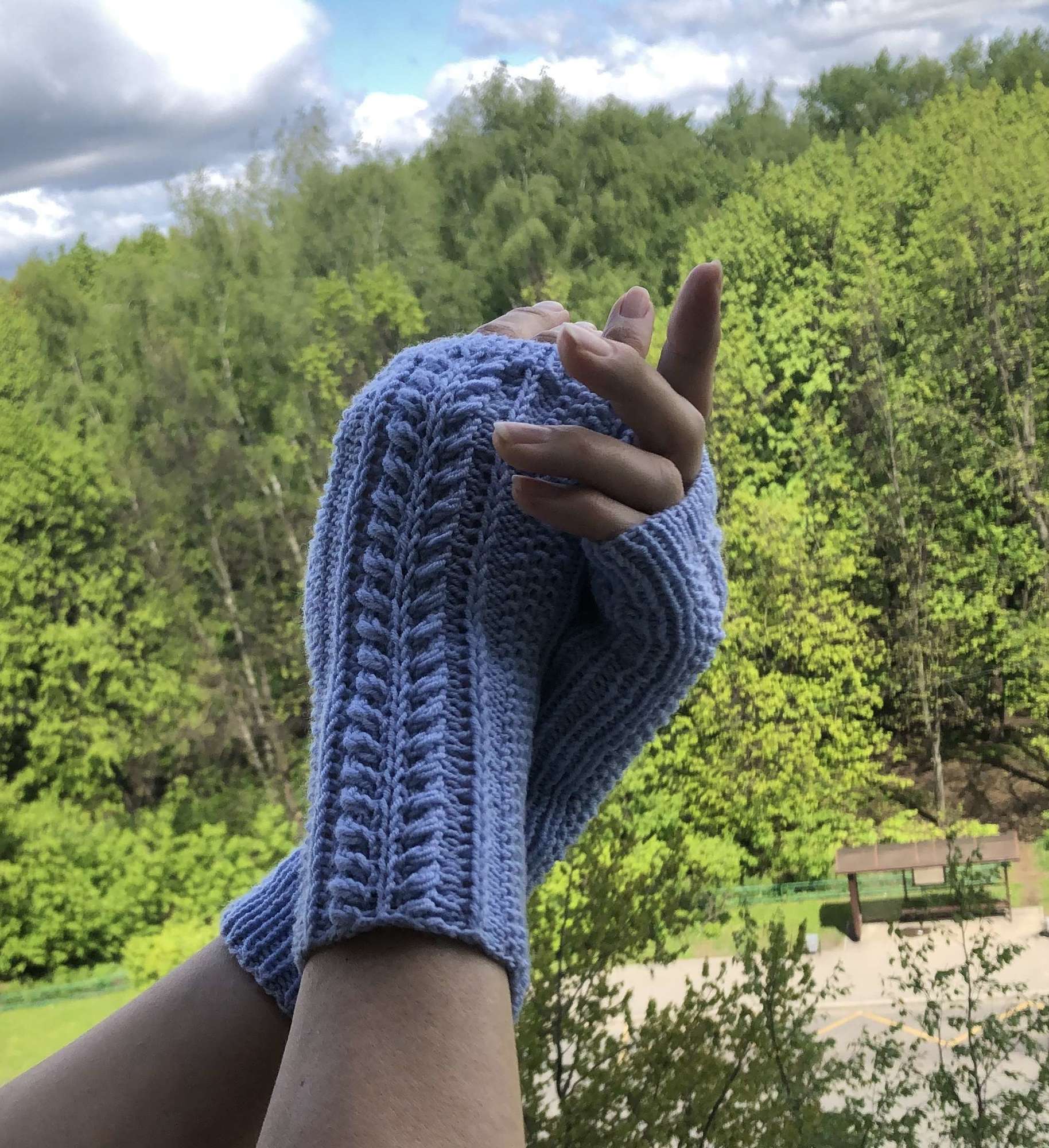 МК Hyacinth_mittens